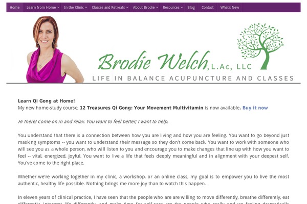 brodiewelch.com site used Brodie-child
