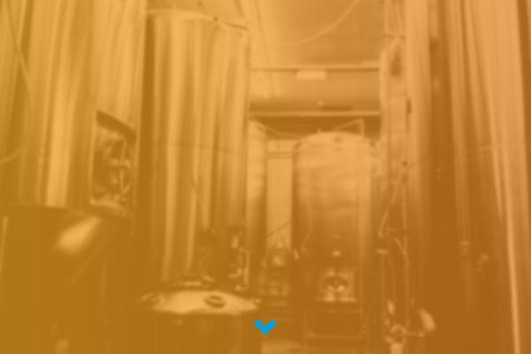 Site using Elfsight-instagram-feed-cc plugin