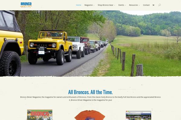 Divi theme site design template sample