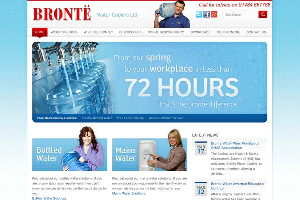 Bronte theme site design template sample