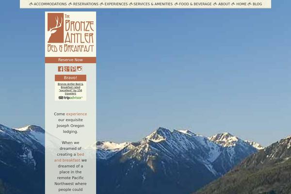 bronzeantler.com site used Bronzeantler.com