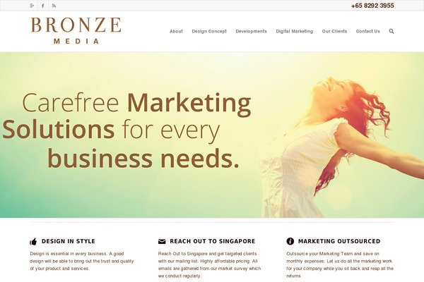 bronzemediaco.com site used Enfold