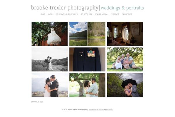 ProPhoto 5 theme site design template sample