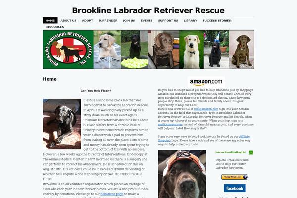 brooklinelabrescue.org site used Brookline