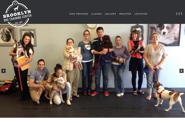 brooklyndogtrainingcenter.com site used Bdtc