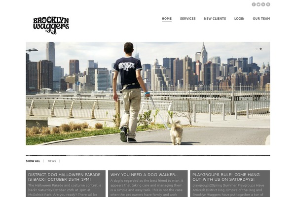 brooklynwaggers.com site used Point