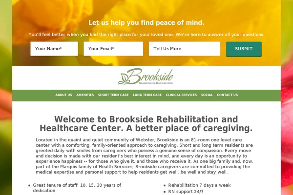 brooksiderehab.com site used Minimize-pro