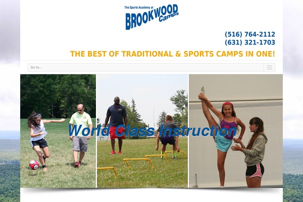 Avada theme site design template sample