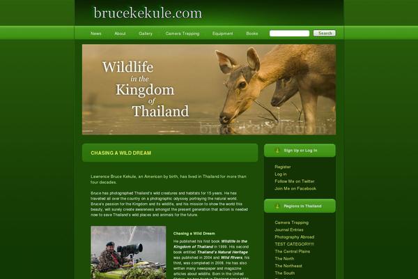 brucekekule.com site used Theme811
