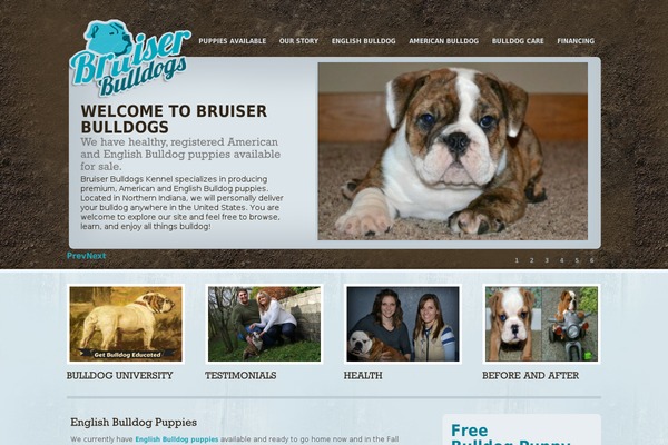 bruiserbulldogs.com site used Alabastroswp