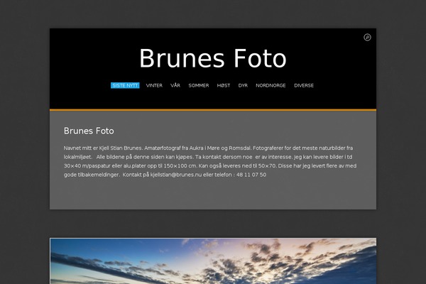 brunes.nu site used Wpex-centre