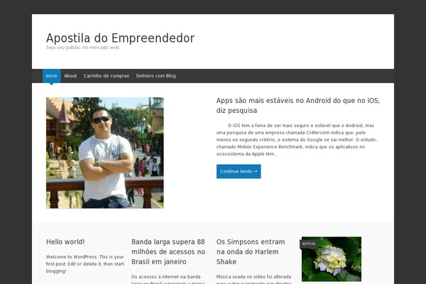 WordPress website example screenshot