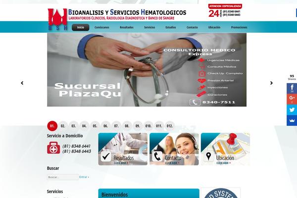 bshematologicos.com site used Theme1632