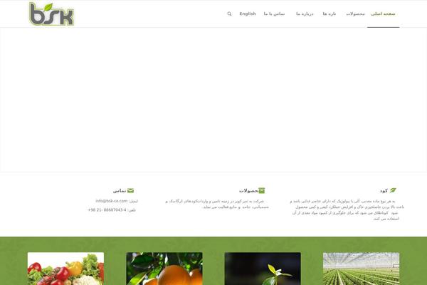 Enfold theme site design template sample
