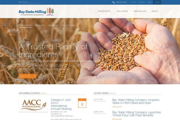 Bsm theme site design template sample