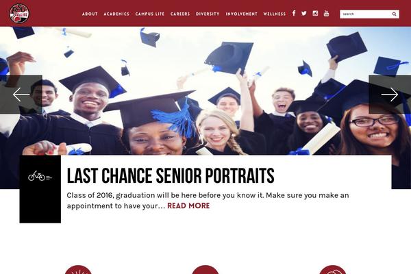 bsulife.com site used Bsulife