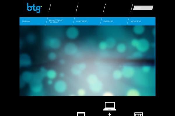 btgroupinc.com site used Btg2013