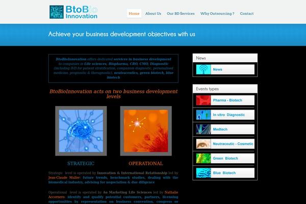 WordPress website example screenshot