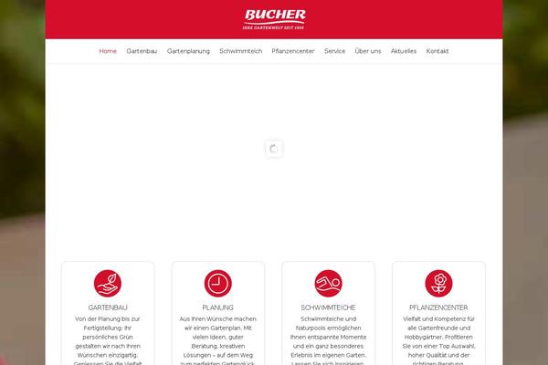 bucher-widnau.ch site used Bucher_theme