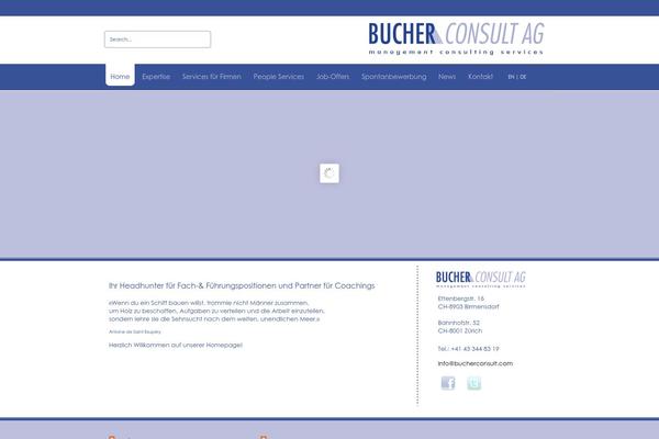 bucherconsult.com site used Bucher