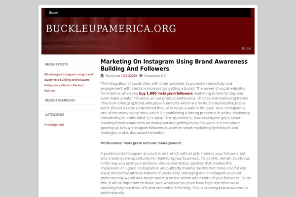 buckleupamerica.org site used Basic-law