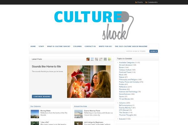 bucultureshock.com site used Wp-clear311