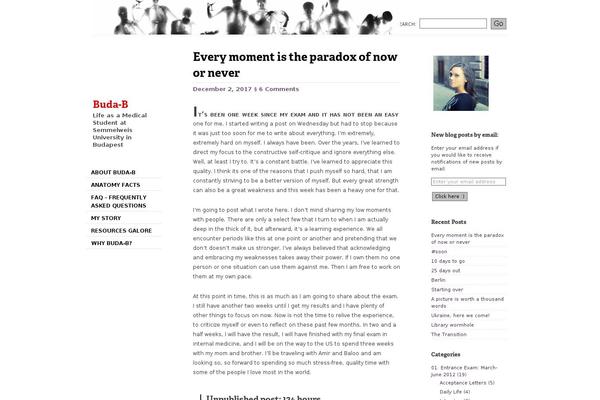 Site using Custom-fonts plugin
