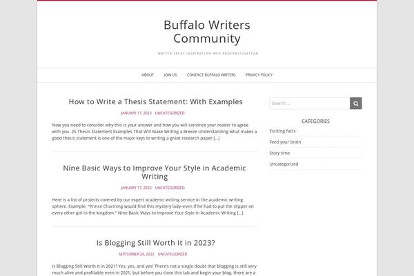 WordPress website example screenshot