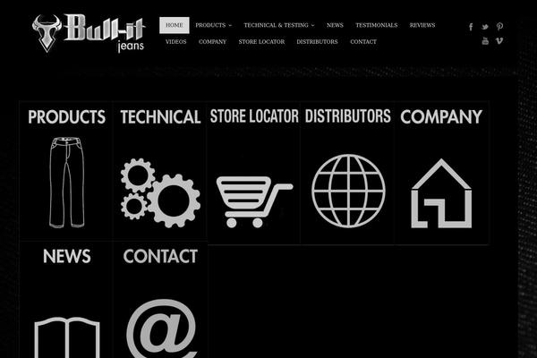 ace-child theme websites examples