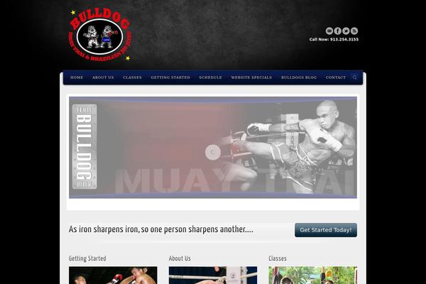 Alyeska theme site design template sample