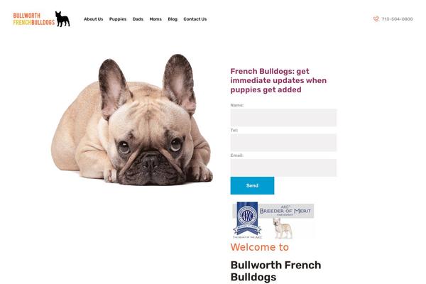 bullworthfrenchbulldogs.com site used Petsland