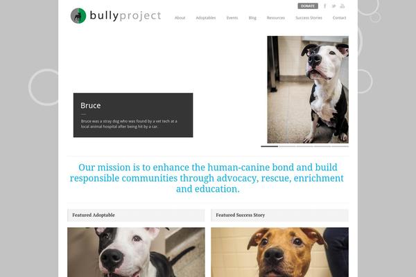 bullyproject.com site used Good Space v1.07