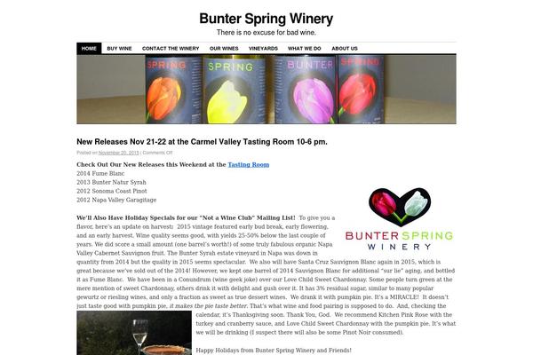 WordPress website example screenshot