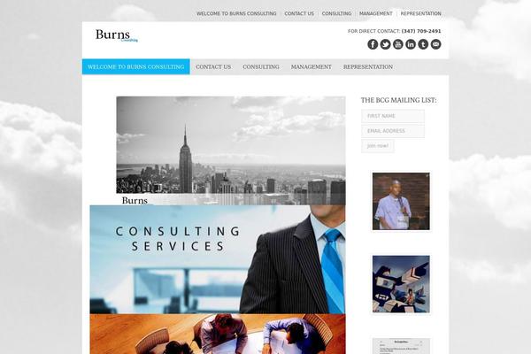 burnsconsulting.us site used Big Company