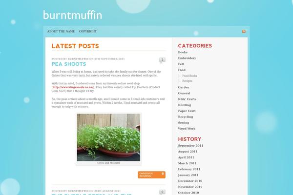 burntmuffin.com site used Glassical