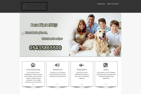 isis theme site design template sample