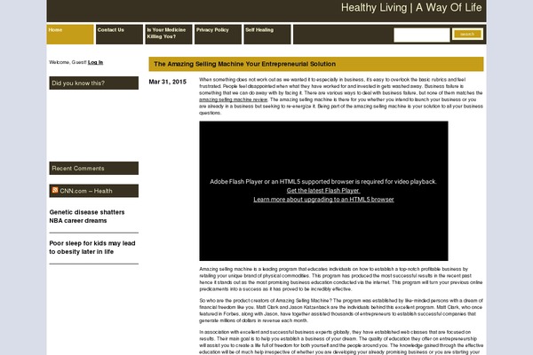 WordPress website example screenshot