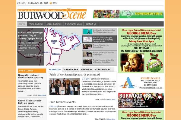 NewsPro theme site design template sample