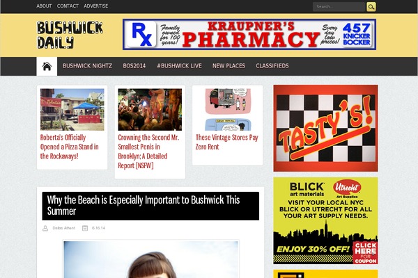 bush WordPress theme, websites list used bush theme bush theme websites examples