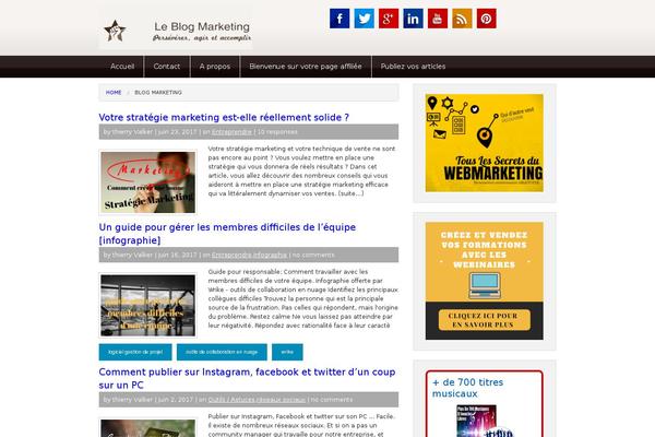 business-marketing-internet.fr site used Wonderbizz