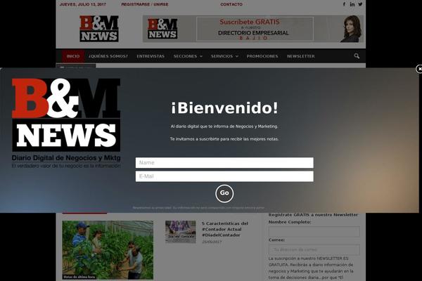 NewsMag theme site design template sample