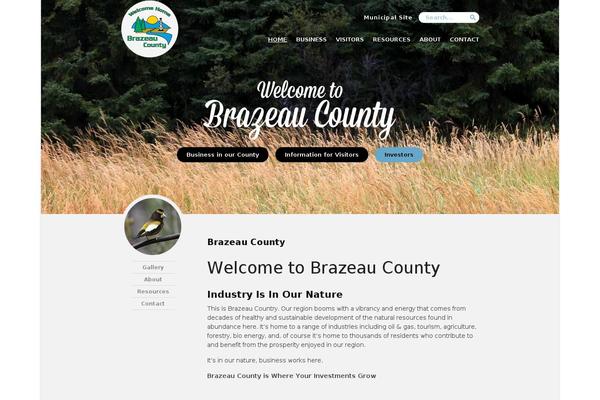 businessinbrazeau.com site used Brazeau