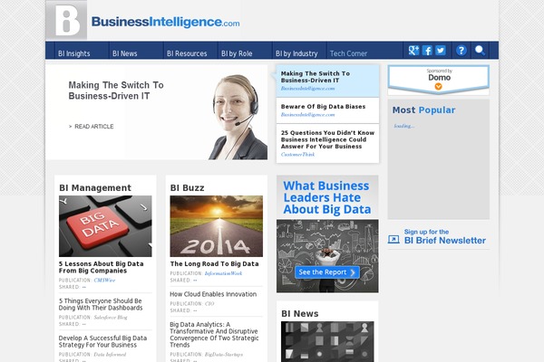 BI theme websites examples