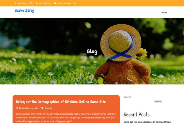 WordPress website example screenshot