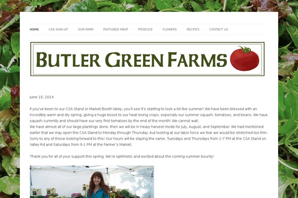 WordPress website example screenshot