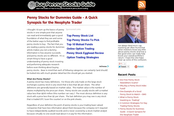 buypennystocksguide.com site used Copyblogger-10