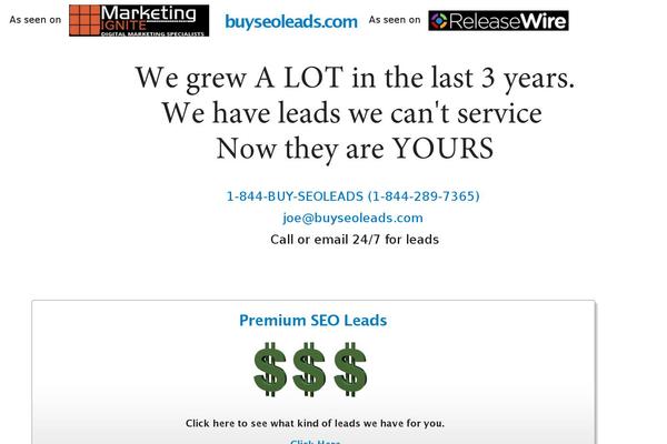 buyseoleads.com site used Seoleads