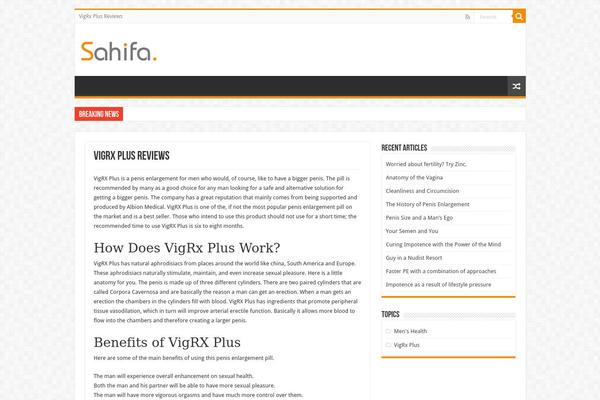 WordPress website example screenshot