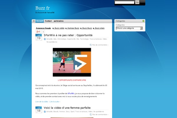 buzz-fr.com site used Royale-news-lite