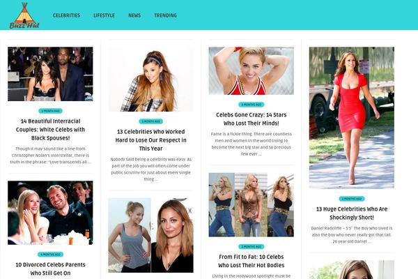 bou-wp theme websites examples